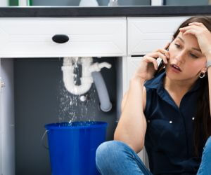 About Plumbers Pros Cottekill, NY